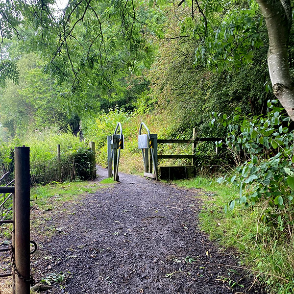 Wynyard Woodland Park - Huntee